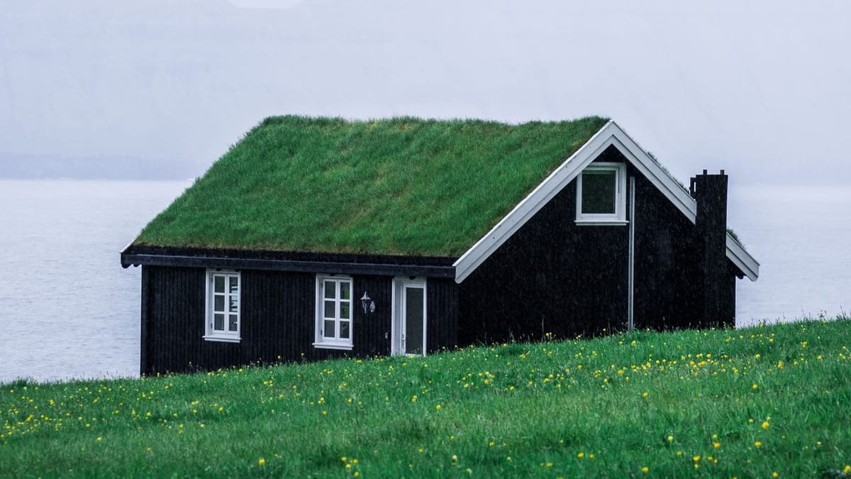 Striking black modern home photographed on a green lawn